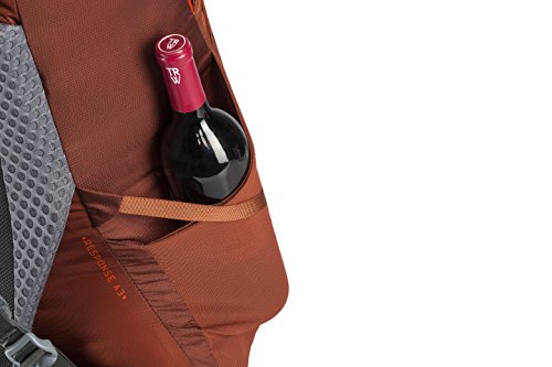 Men's Baltoro 75 Backpack W163674