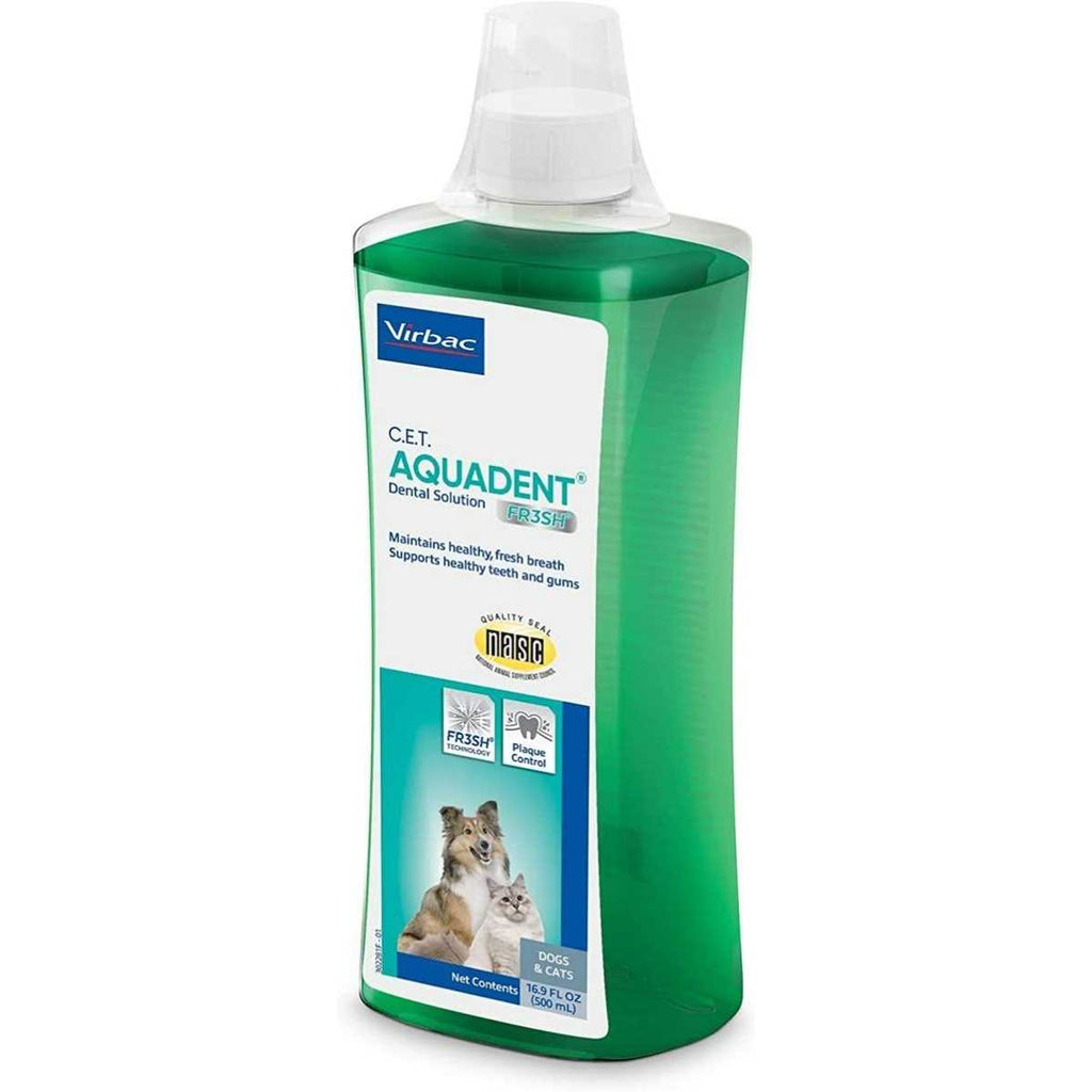 Dental Solution X19224