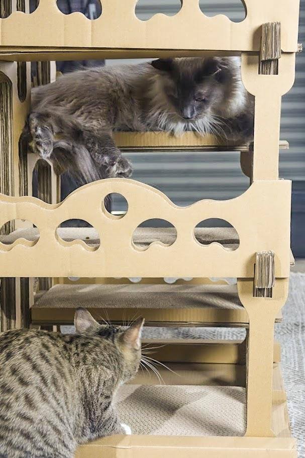 Kraft Cat House A1737