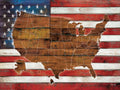 American Flag USA Map Poster Print (36 x 24) O302