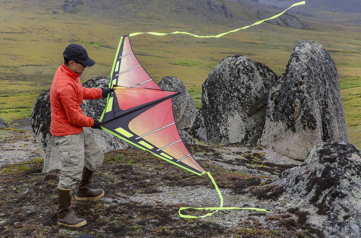 Single Line Delta Kite S315