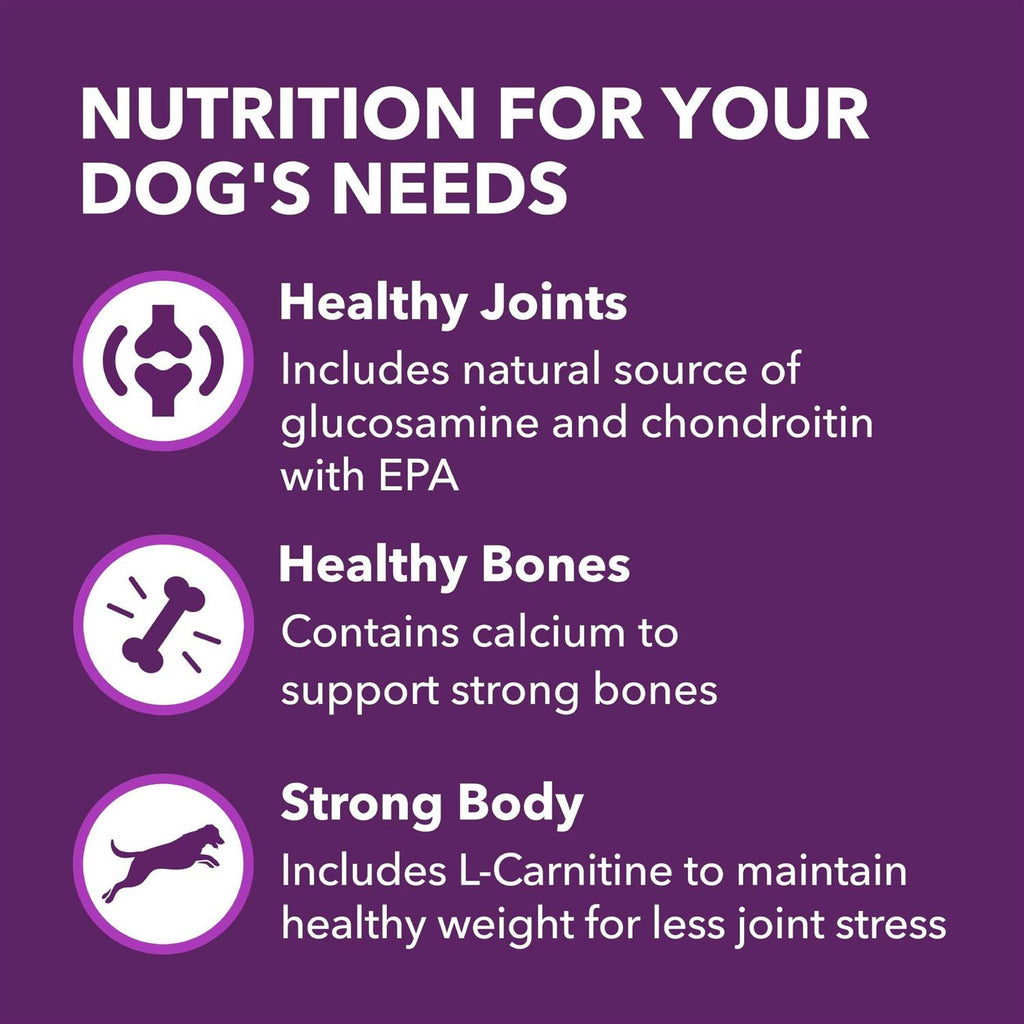 Chicken & Whole Grain Recipe Adult Dry Dog Food W36946