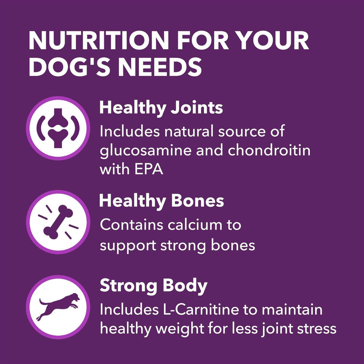 Chicken & Whole Grain Recipe Adult Dry Dog Food W36946