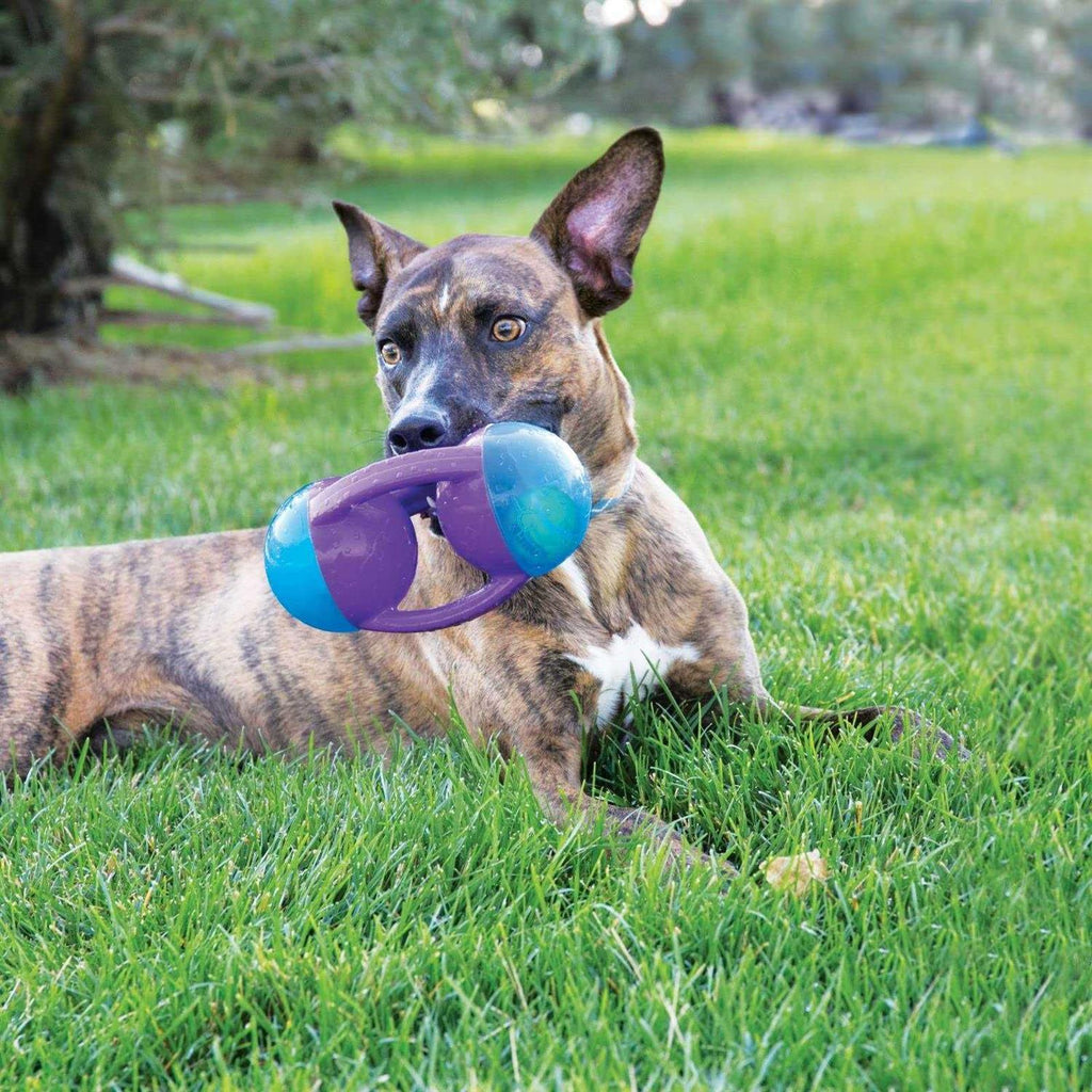 Dog Toy H209222