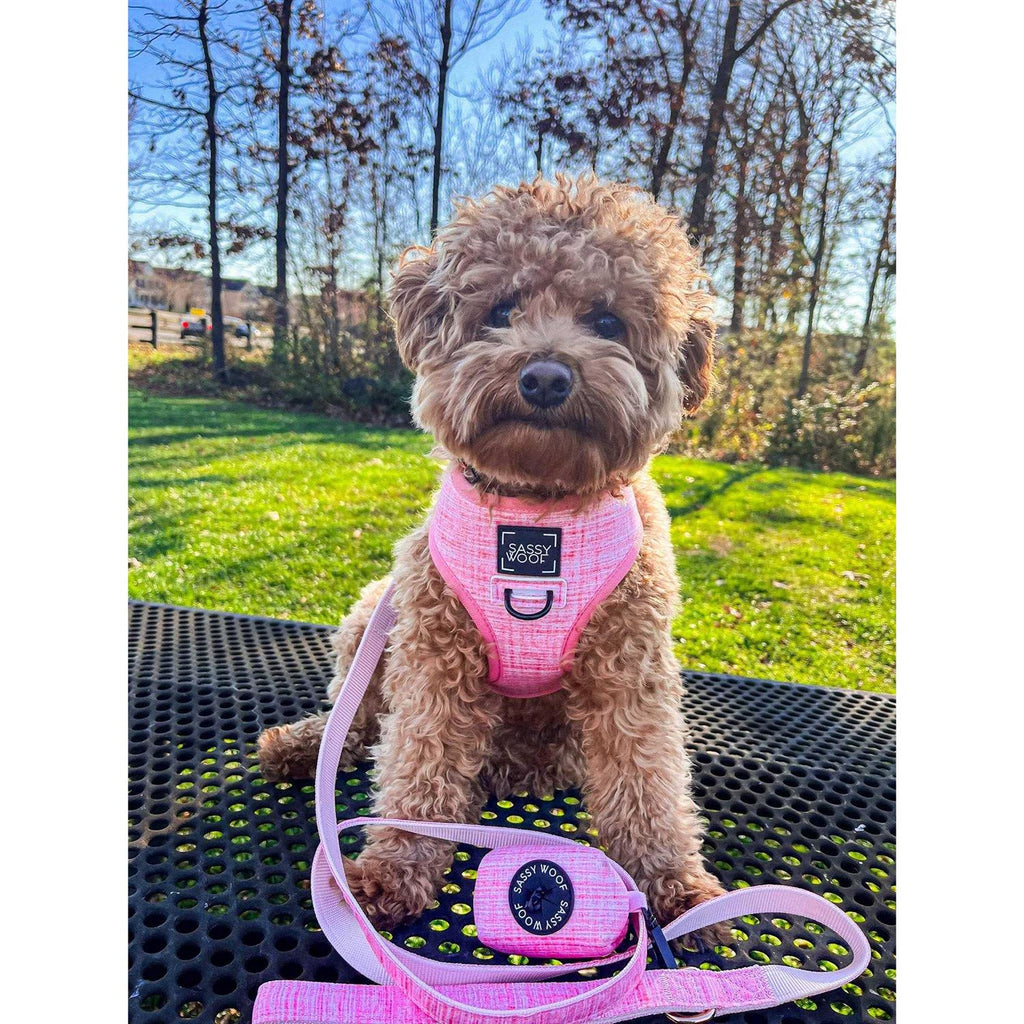 Reversible Dog Harness N465