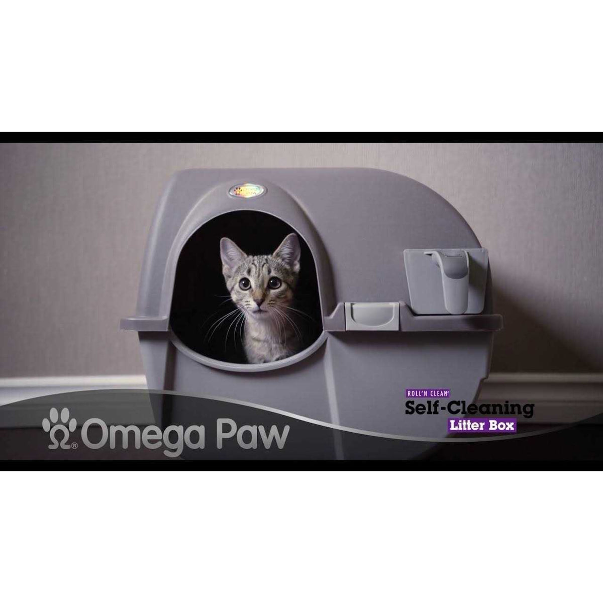 Self Cleaning Litter Box A262