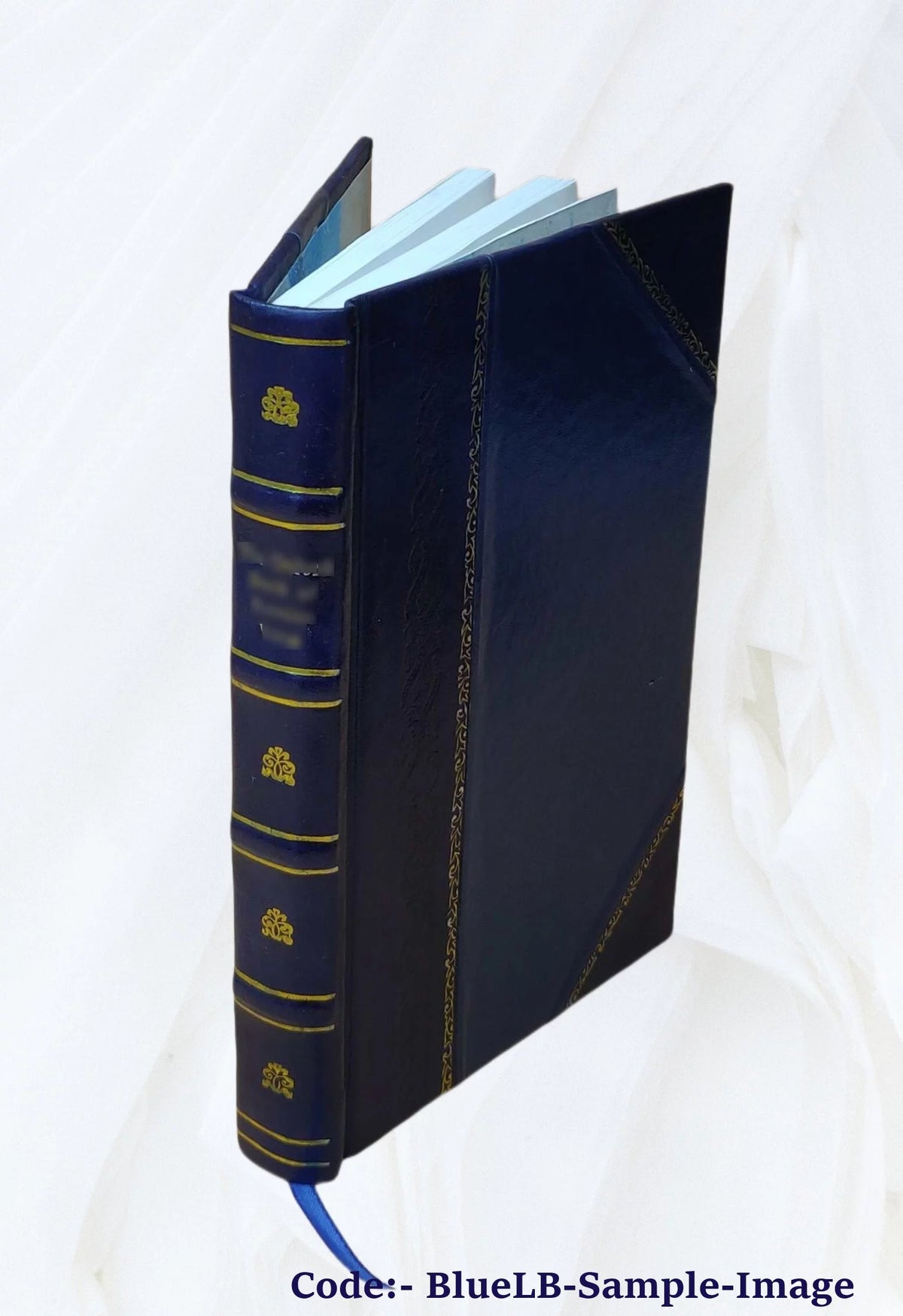 Collection d'estampes, recueils, cabinets, galeries et livres sur les arts N13066