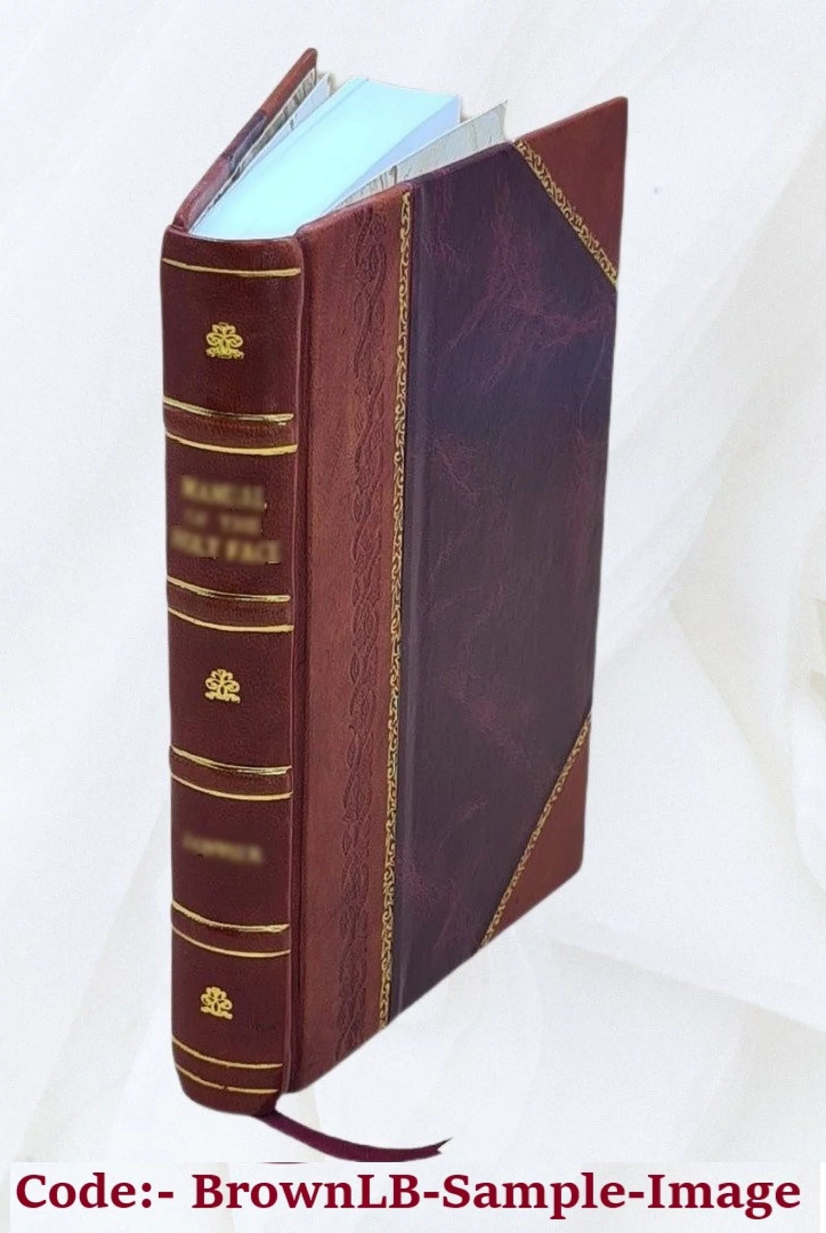 美術 の 秋 Leather Bound Q70466