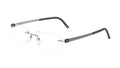 Titanium Slate Accent Y206