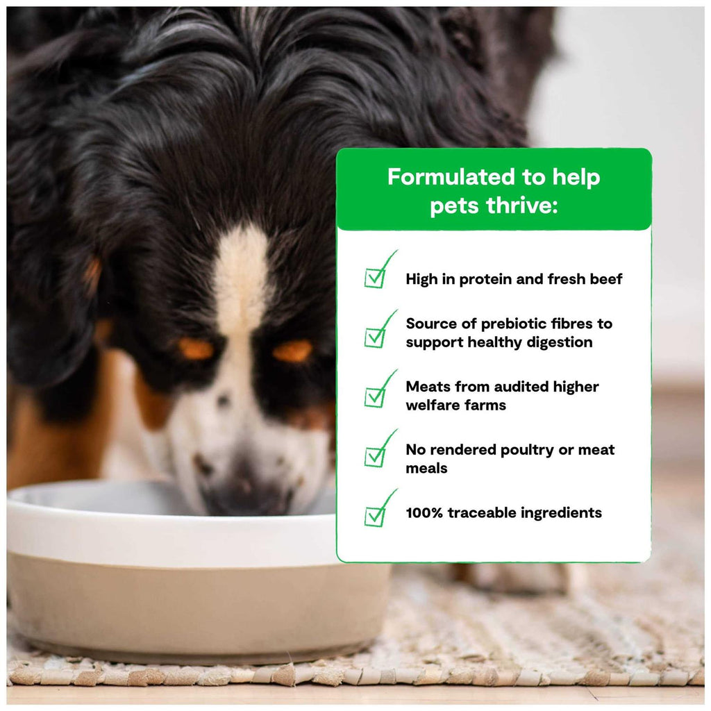 Grain Free Grass Fed Beef Dry Dog Food H503