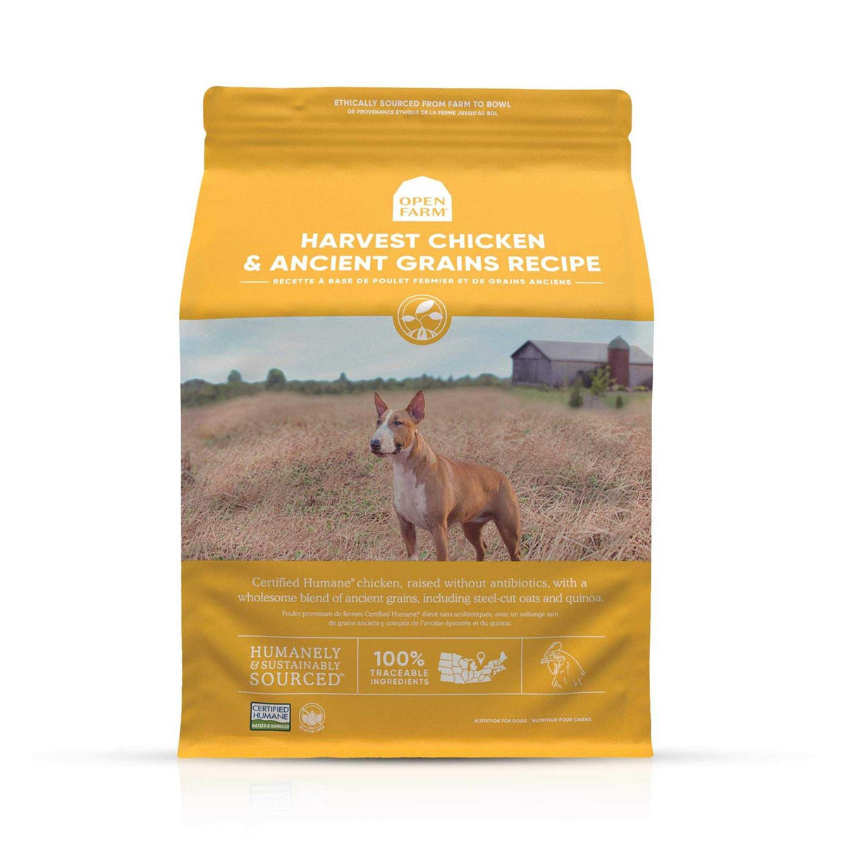 Chicken Ancient Grains Dry Dog Food T42443