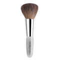 Brush 5 Powder S2301
