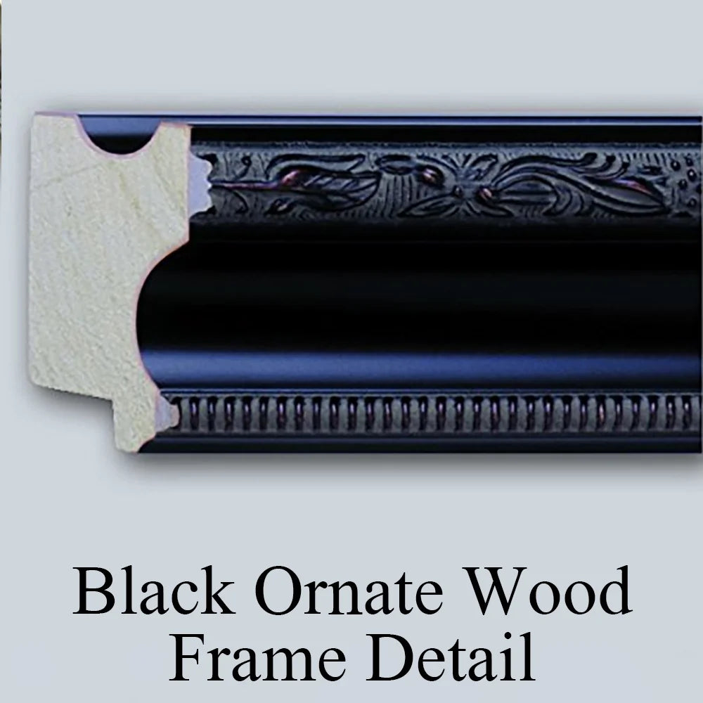 Black Ornate Wood Framed Museum Art Print F954