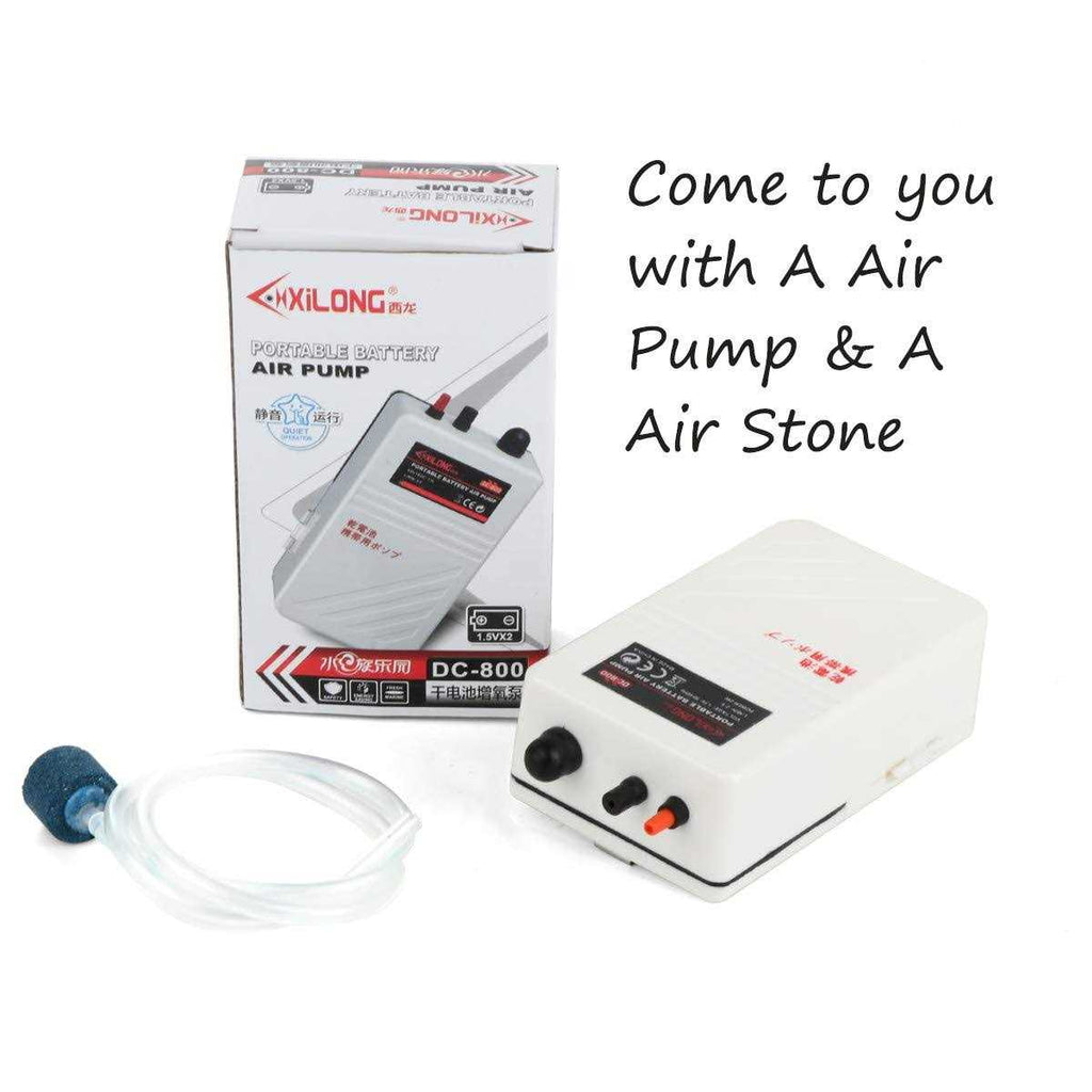 Battery Aquarium Air Pump M5795