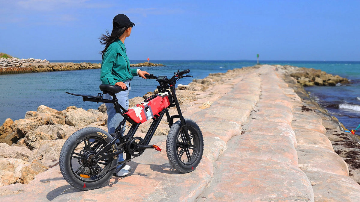 Fat Tire eBike J3797