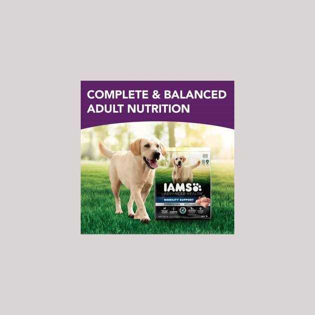 Chicken & Whole Grain Recipe Adult Dry Dog Food W36946