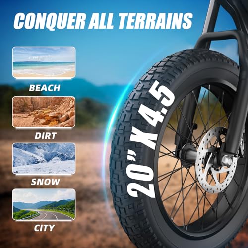20" Fat Tire Electric Bike with Peak 1200W Motor, 48V 15A Battery, 7-Speed, Dual Disc Brakes R535
