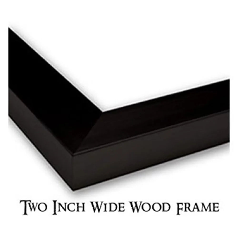 Black Modern Framed Museum Art Print W904542