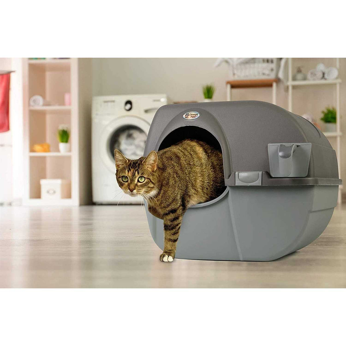Self Cleaning Litter Box A262