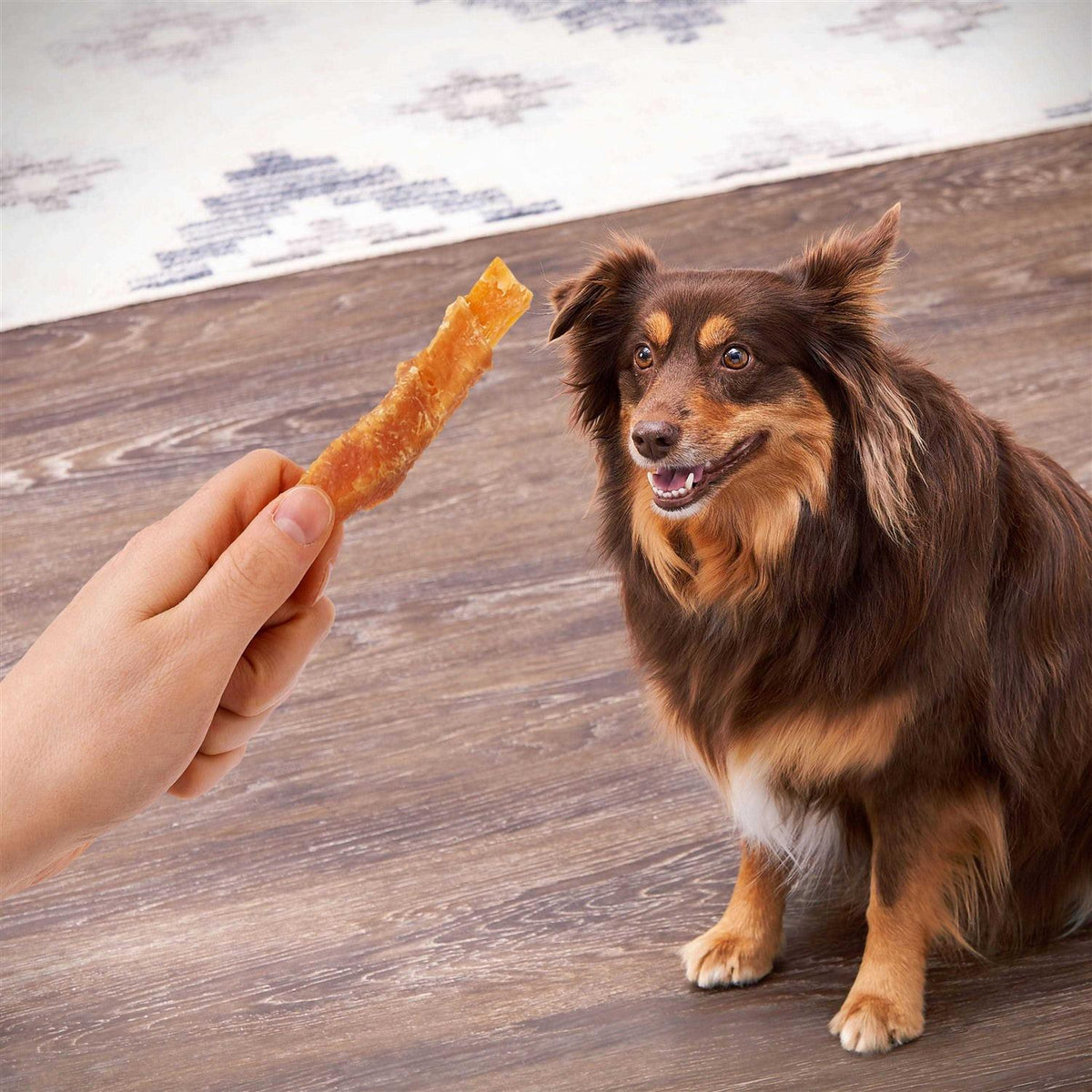 Sweet Potato Wrapped with Chicken Dog Treats U4382