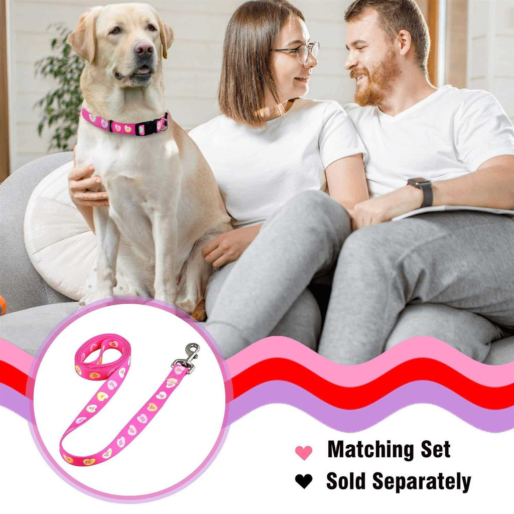 Valentines Day Heart Dog Collar B217