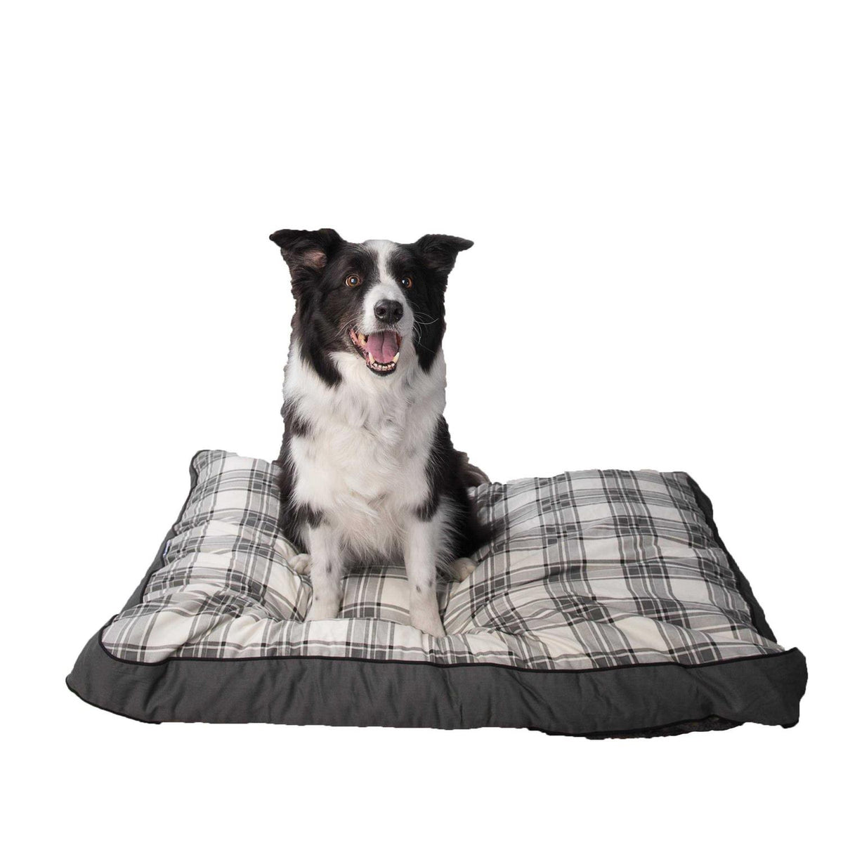 Dog Bed H83538