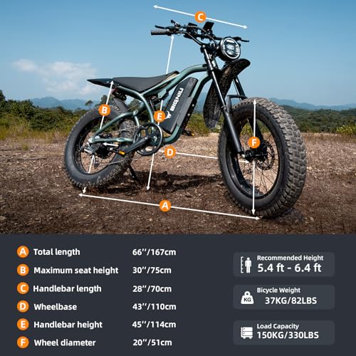 20" Fat Tire Electric Bike with Peak 1200W Motor, 48V 15A Battery, 7-Speed, Dual Disc Brakes R535