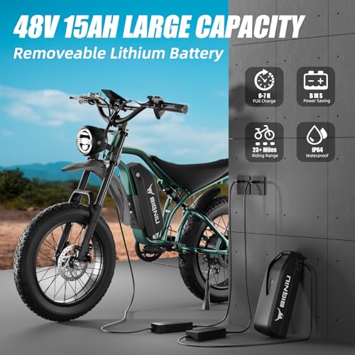 20" Fat Tire Electric Bike with Peak 1200W Motor, 48V 15A Battery, 7-Speed, Dual Disc Brakes R535