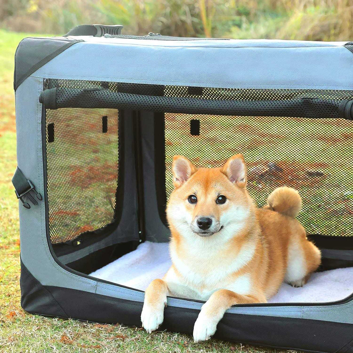 Collapsible 4-Door Soft Dog Crate G959