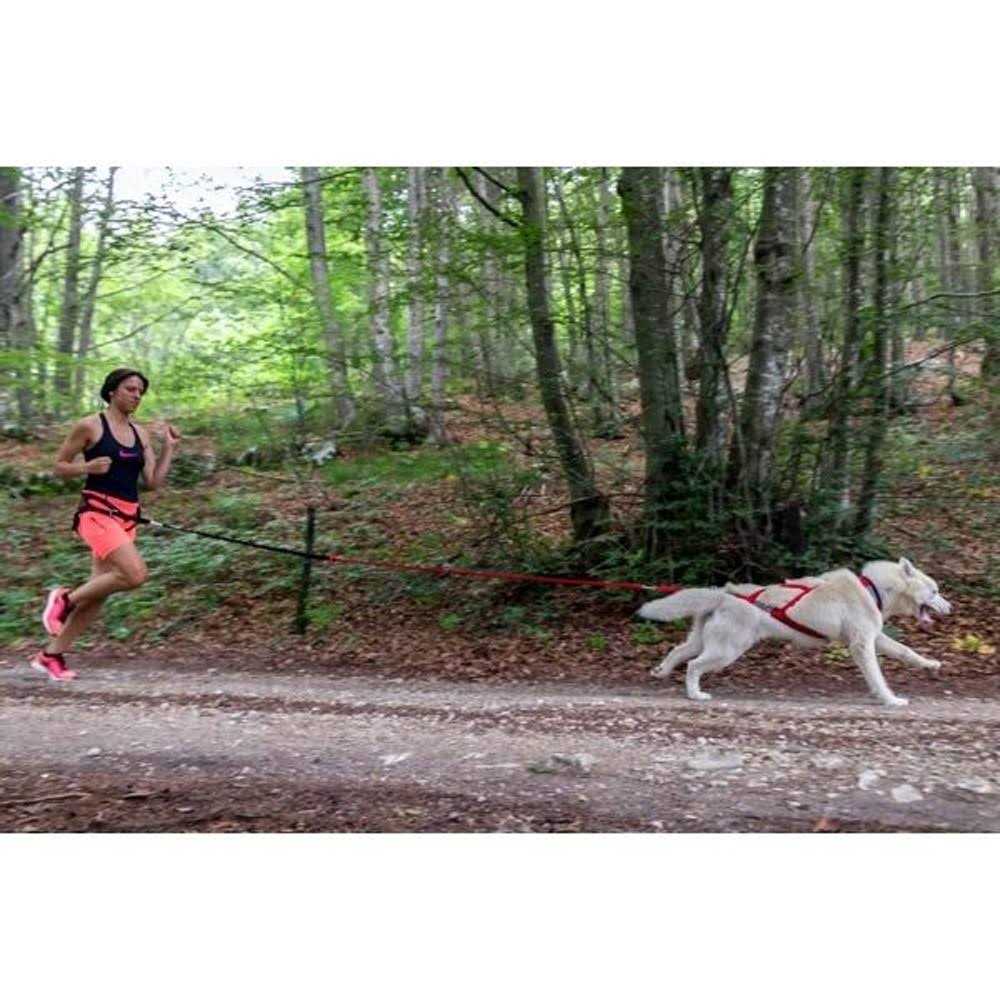 Dog Pulling Harness G4624