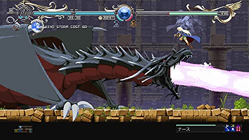 Record of Lodoss War: Deedlit in Wonder Labyrinth R6367