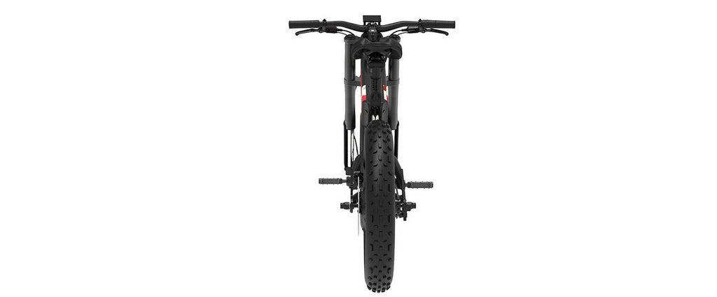 Fat Tire eBike J3797