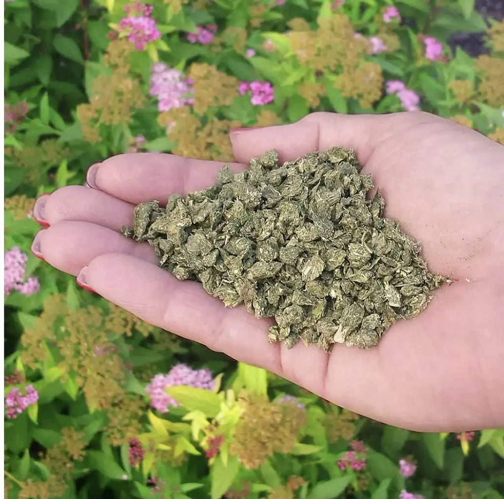 Organic All Purpose Plant Food 3 lb M257