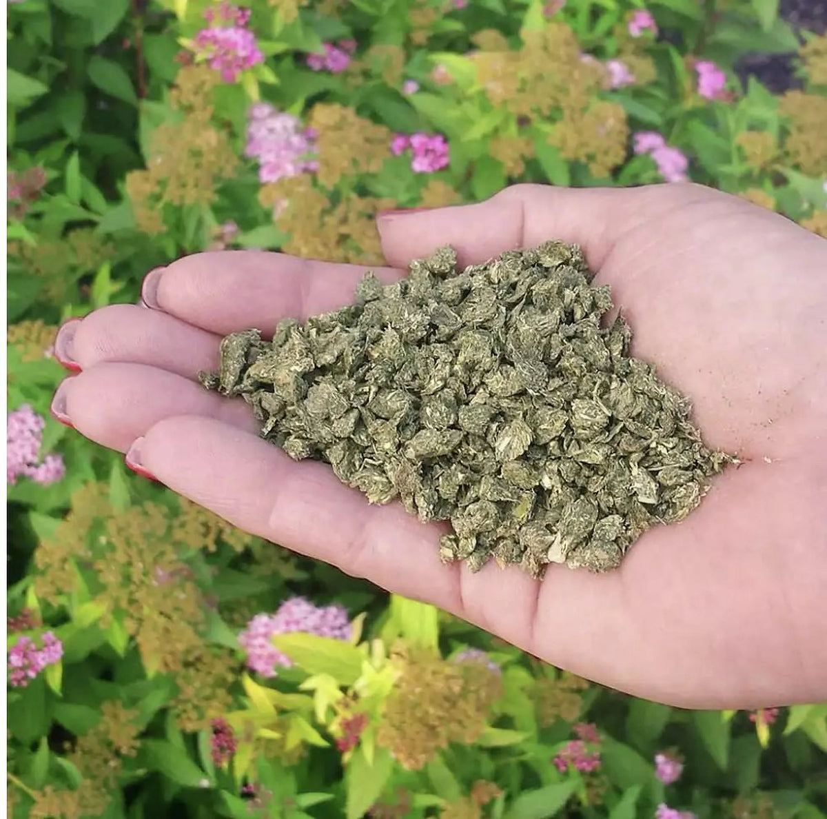 Organic All Purpose Plant Food 3 lb M257