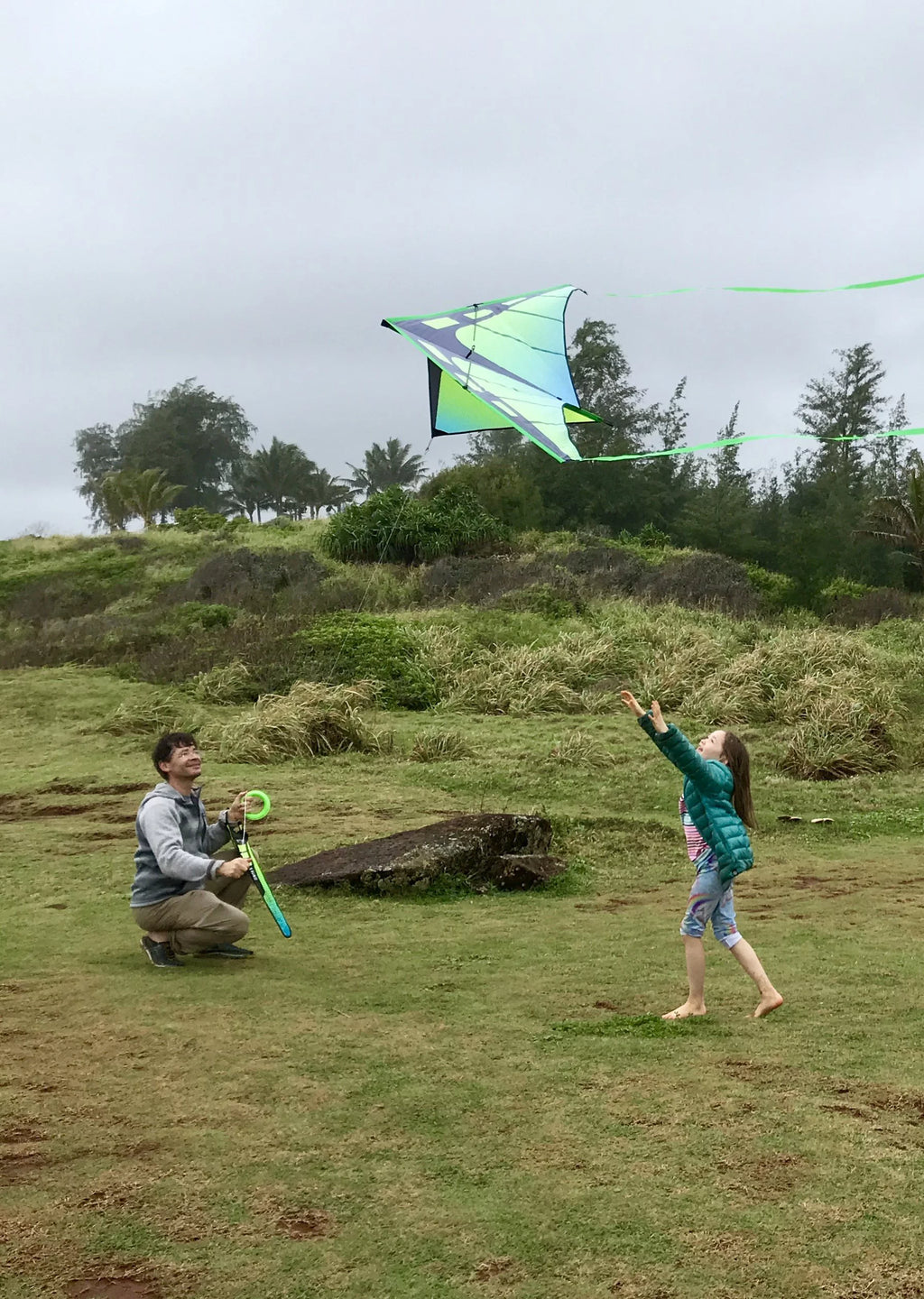 Delta Kite S667