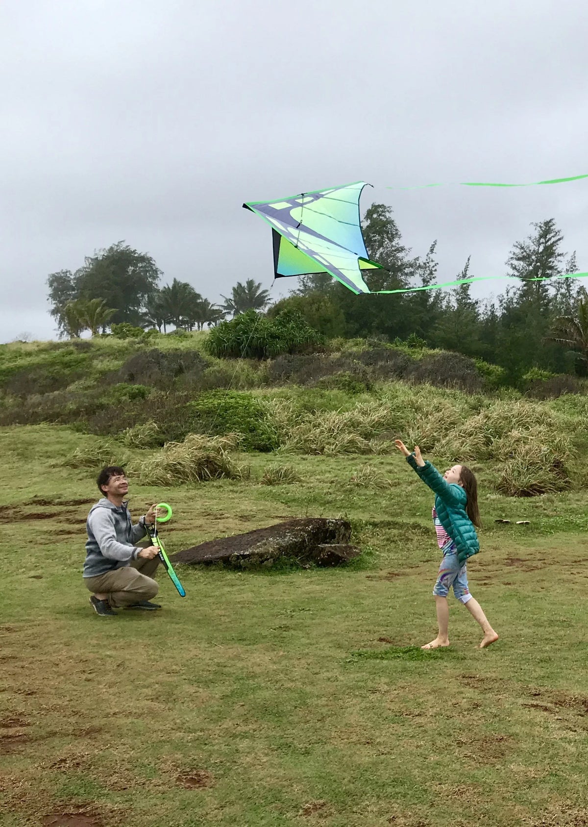 Delta Kite S667