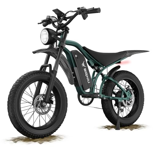 20" Fat Tire Electric Bike with Peak 1200W Motor, 48V 15A Battery, 7-Speed, Dual Disc Brakes R535
