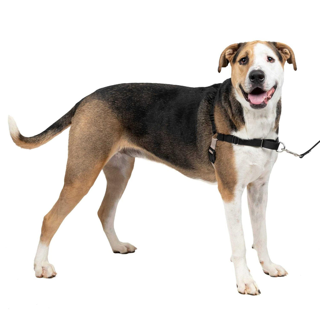 Dog Harness M8989
