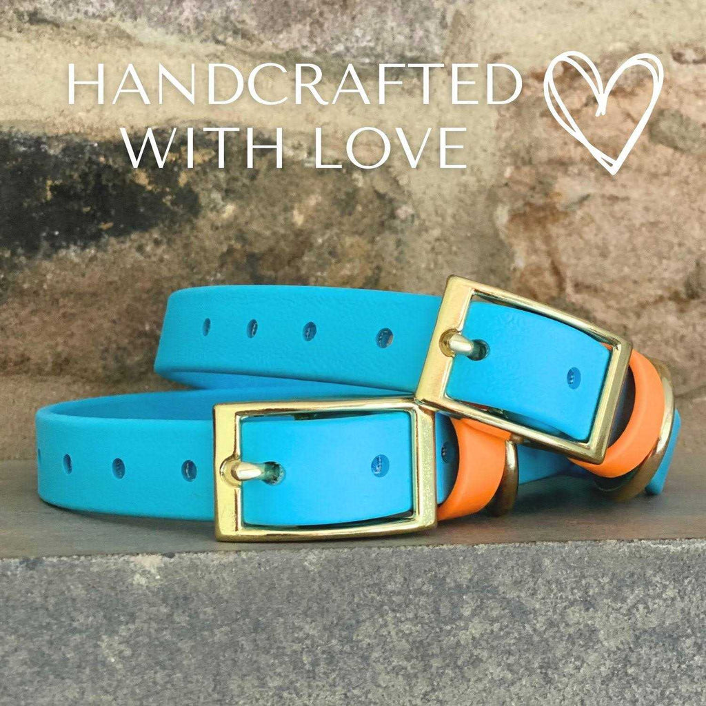 Waterproof Odorless Dog Collar H14482