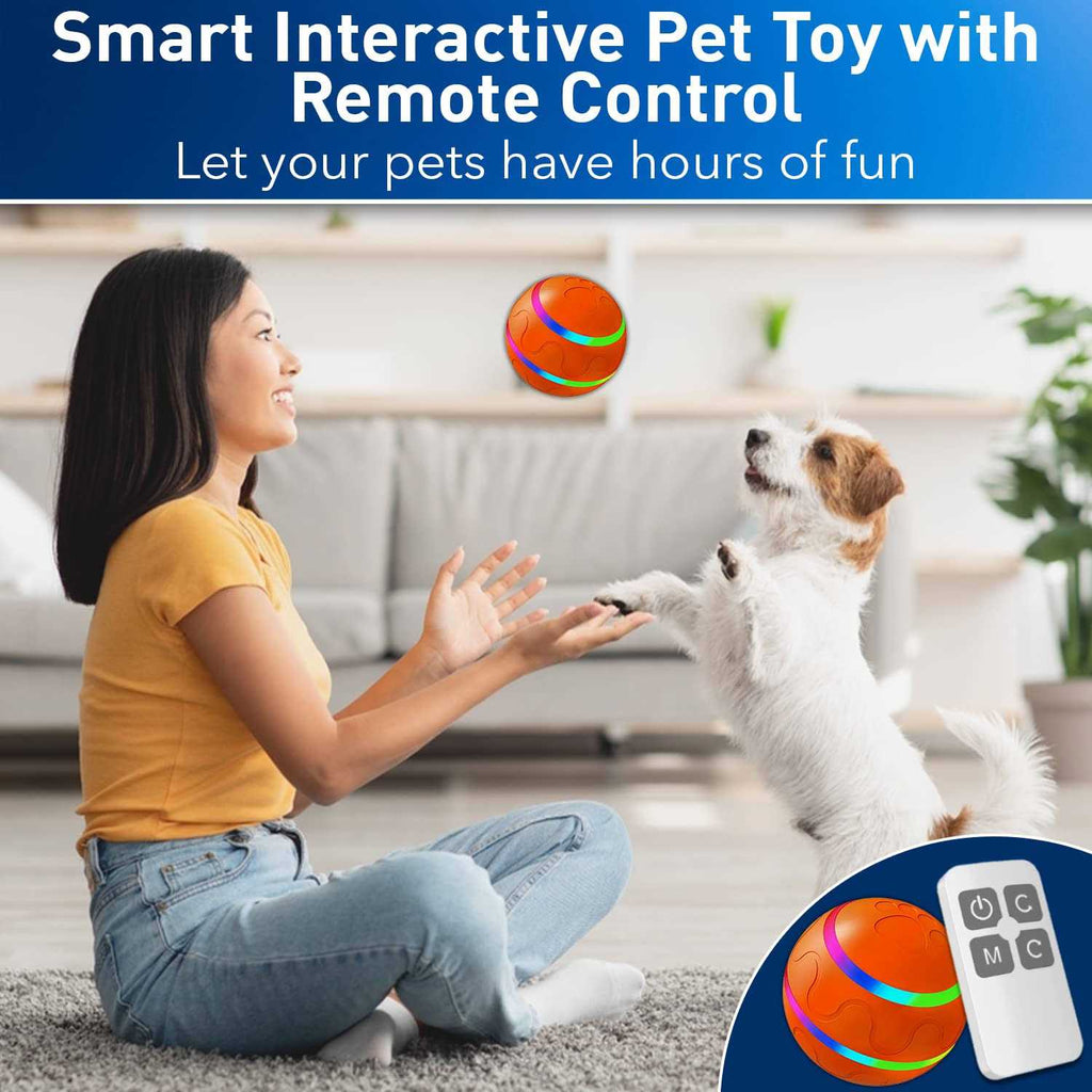 Interactive Dog Toy Ball with Remote Control I15754