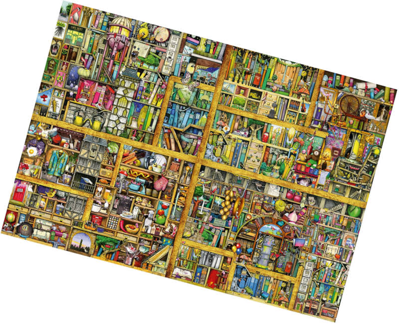 Magical Bookcase Puzzle E2952
