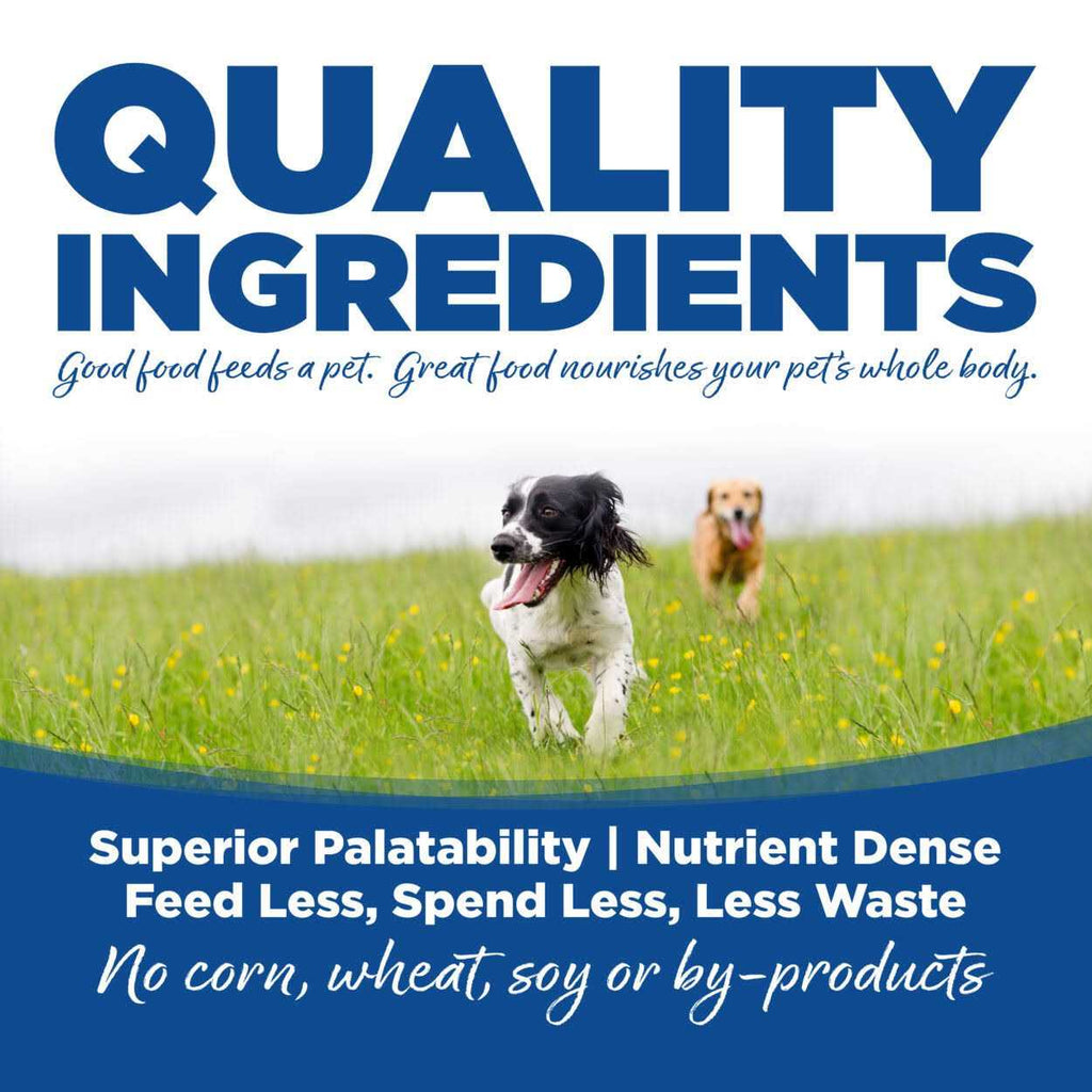 Whitefish Meal Rice Recipe Dry Dog Food B8487