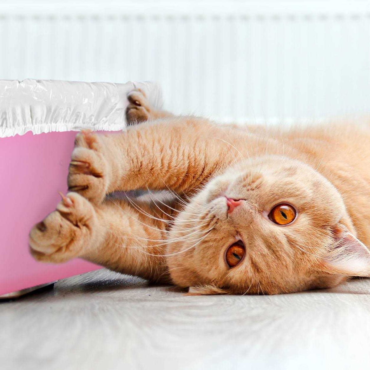 Cat Litter Box Disposable Elastic Liners B39654