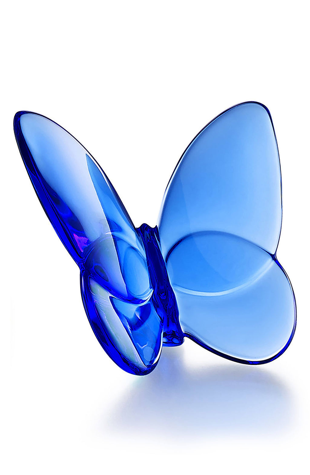 Blue Butterfly P507069