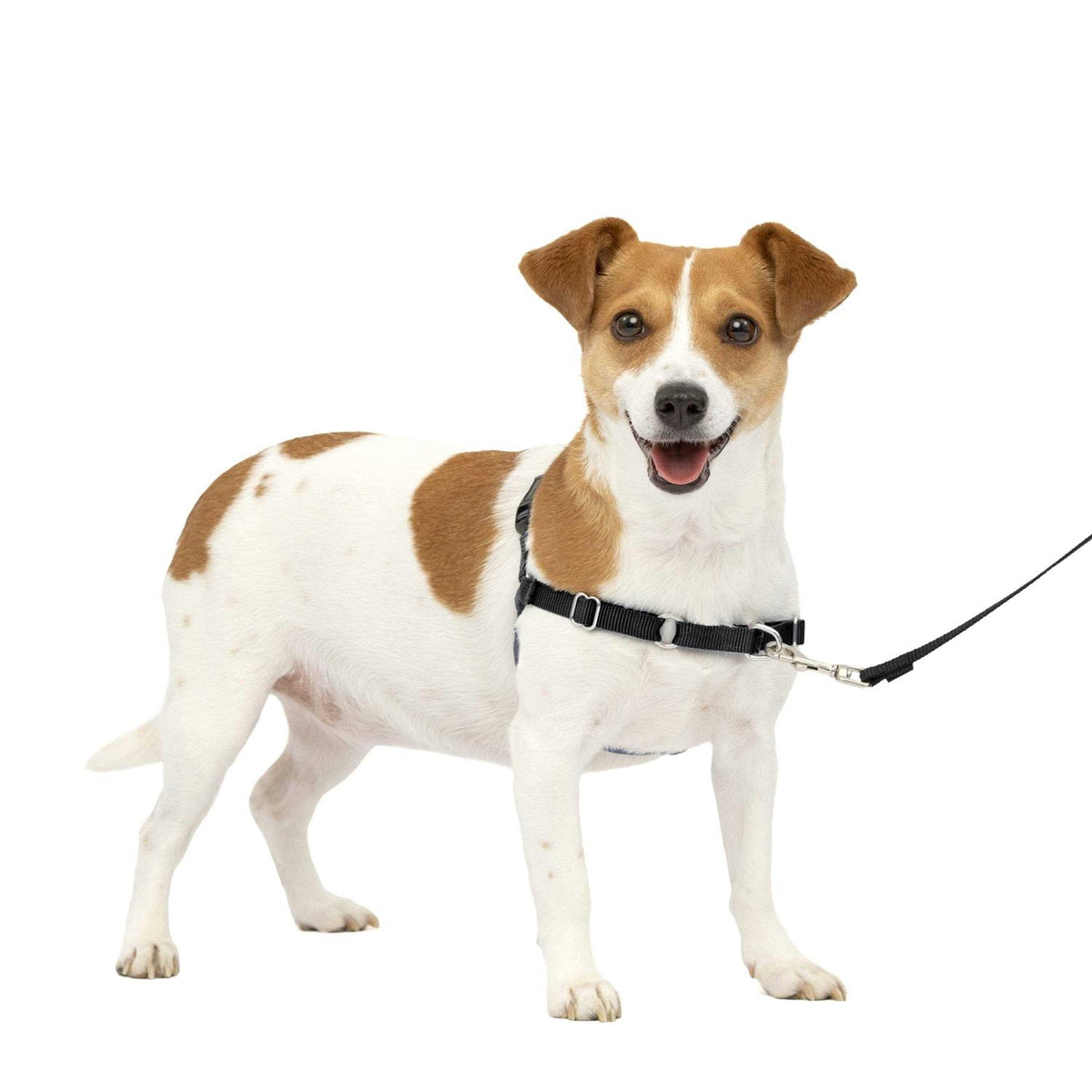 Dog Harness M8989