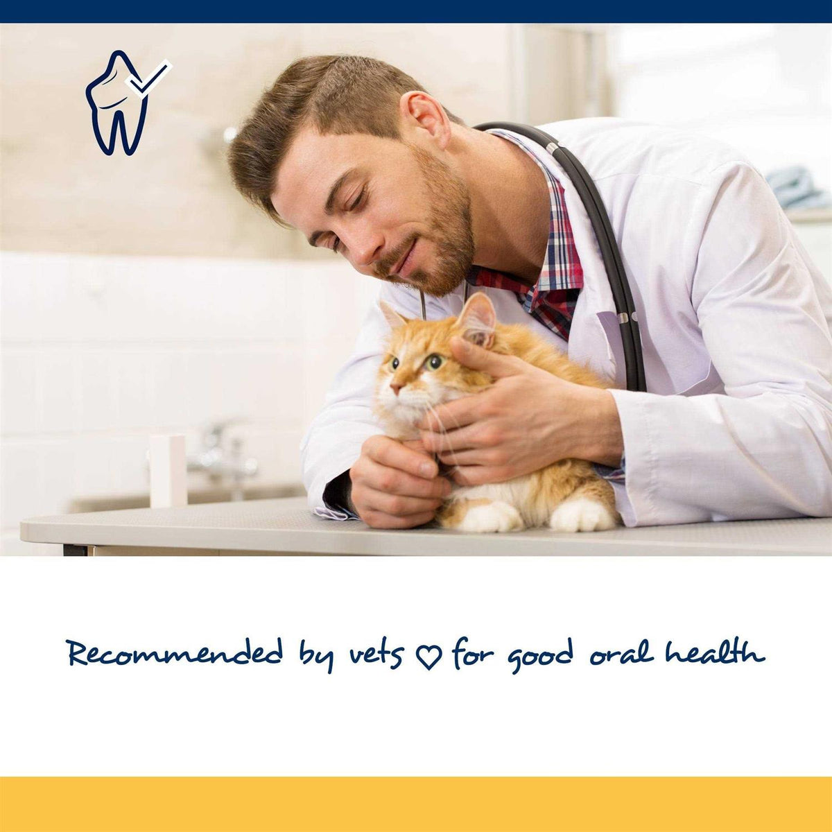 Soft Chews for Cats X247