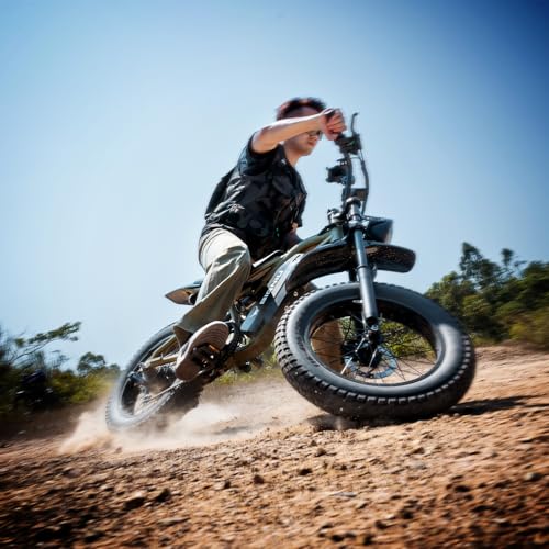 20" Fat Tire Electric Bike with Peak 1200W Motor, 48V 15A Battery, 7-Speed, Dual Disc Brakes R535