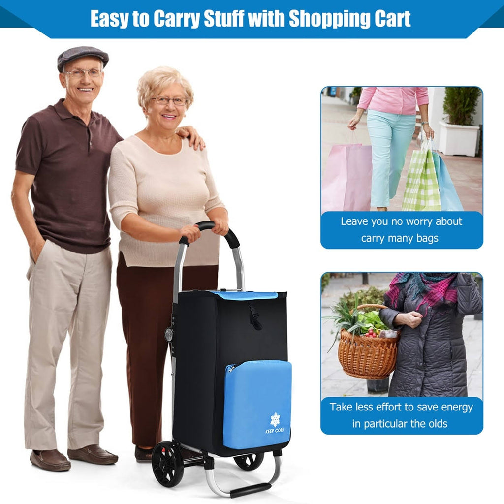 Folding Utility Cart with Removable Bag X54757