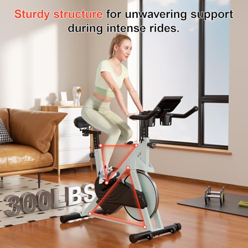32-Level Magnetic Resistance Stationary Bike with 300lbs Weight Capacity A152463