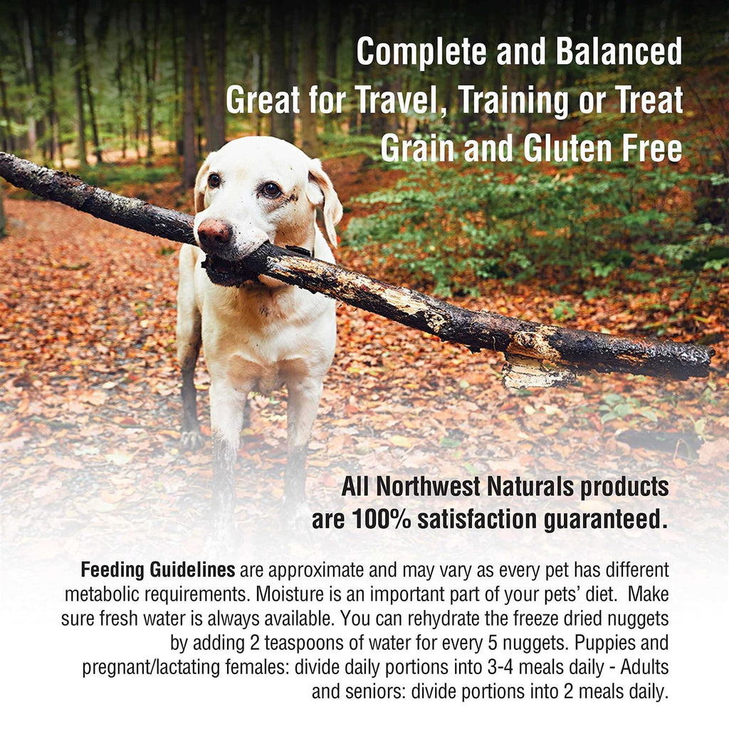 Freeze-Dried Raw Dog Food Nuggets R8434